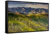 Mountain Landscape in Fall Color, East Canyon, Utah-Howie Garber-Framed Stretched Canvas