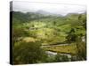 Mountain Landscape in the Region of Monteverde, Costa Rica, Central America-Levy Yadid-Stretched Canvas