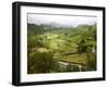 Mountain Landscape in the Region of Monteverde, Costa Rica, Central America-Levy Yadid-Framed Photographic Print