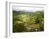 Mountain Landscape in the Region of Monteverde, Costa Rica, Central America-Levy Yadid-Framed Photographic Print