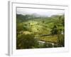 Mountain Landscape in the Region of Monteverde, Costa Rica, Central America-Levy Yadid-Framed Photographic Print