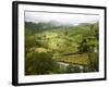 Mountain Landscape in the Region of Monteverde, Costa Rica, Central America-Levy Yadid-Framed Photographic Print