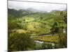 Mountain Landscape in the Region of Monteverde, Costa Rica, Central America-Levy Yadid-Mounted Photographic Print