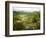 Mountain Landscape in the Region of Monteverde, Costa Rica, Central America-Levy Yadid-Framed Photographic Print