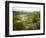 Mountain Landscape in the Region of Monteverde, Costa Rica, Central America-Levy Yadid-Framed Photographic Print