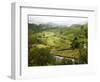 Mountain Landscape in the Region of Monteverde, Costa Rica, Central America-Levy Yadid-Framed Photographic Print