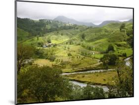 Mountain Landscape in the Region of Monteverde, Costa Rica, Central America-Levy Yadid-Mounted Photographic Print