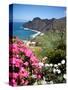 Mountain Landscape, La Gomera, Canary Islands, Spain, Atlantic, Europe-Adina Tovy-Stretched Canvas