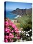 Mountain Landscape, La Gomera, Canary Islands, Spain, Atlantic, Europe-Adina Tovy-Stretched Canvas