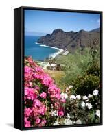 Mountain Landscape, La Gomera, Canary Islands, Spain, Atlantic, Europe-Adina Tovy-Framed Stretched Canvas