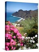 Mountain Landscape, La Gomera, Canary Islands, Spain, Atlantic, Europe-Adina Tovy-Stretched Canvas