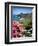 Mountain Landscape, La Gomera, Canary Islands, Spain, Atlantic, Europe-Adina Tovy-Framed Photographic Print