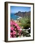 Mountain Landscape, La Gomera, Canary Islands, Spain, Atlantic, Europe-Adina Tovy-Framed Photographic Print