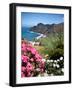 Mountain Landscape, La Gomera, Canary Islands, Spain, Atlantic, Europe-Adina Tovy-Framed Photographic Print