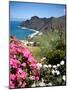 Mountain Landscape, La Gomera, Canary Islands, Spain, Atlantic, Europe-Adina Tovy-Mounted Photographic Print