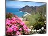 Mountain Landscape, La Gomera, Canary Islands, Spain. Atlantic, Europe-Adina Tovy-Mounted Photographic Print