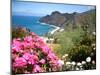 Mountain Landscape, La Gomera, Canary Islands, Spain. Atlantic, Europe-Adina Tovy-Mounted Photographic Print