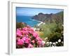 Mountain Landscape, La Gomera, Canary Islands, Spain. Atlantic, Europe-Adina Tovy-Framed Photographic Print