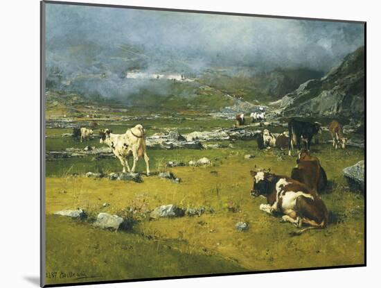 Mountain Landscape with Cows Grazing in Upper Area of Biella-Lorenzo Di Bicci-Mounted Giclee Print