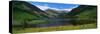 Mountain Landscape with Lake, Ireland-null-Stretched Canvas