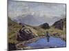 Mountain Landscape-Michelino Da Besozzo-Mounted Giclee Print