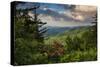 Mountain Laurel, Sunrise, Beacon Heights, North Carolina-Howie Garber-Stretched Canvas