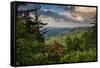 Mountain Laurel, Sunrise, Beacon Heights, North Carolina-Howie Garber-Framed Stretched Canvas