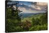 Mountain Laurel, Sunrise, Beacon Heights, North Carolina-Howie Garber-Stretched Canvas