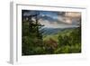 Mountain Laurel, Sunrise, Beacon Heights, North Carolina-Howie Garber-Framed Photographic Print