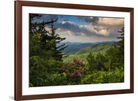 Mountain Laurel, Sunrise, Beacon Heights, North Carolina-Howie Garber-Framed Photographic Print