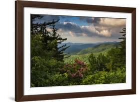 Mountain Laurel, Sunrise, Beacon Heights, North Carolina-Howie Garber-Framed Photographic Print