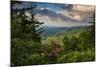 Mountain Laurel, Sunrise, Beacon Heights, North Carolina-Howie Garber-Mounted Photographic Print