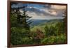 Mountain Laurel, Sunrise, Beacon Heights, North Carolina-Howie Garber-Framed Photographic Print