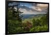 Mountain Laurel, Sunrise, Beacon Heights, North Carolina-Howie Garber-Framed Photographic Print