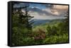 Mountain Laurel, Sunrise, Beacon Heights, North Carolina-Howie Garber-Framed Stretched Canvas