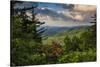 Mountain Laurel, Sunrise, Beacon Heights, North Carolina-Howie Garber-Stretched Canvas