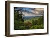 Mountain Laurel, Sunrise, Beacon Heights, North Carolina-Howie Garber-Framed Photographic Print