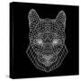 Mountain Lion Black Mesh-Lisa Kroll-Stretched Canvas