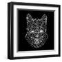 Mountain Lion Black Mesh-Lisa Kroll-Framed Art Print