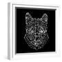 Mountain Lion Black Mesh-Lisa Kroll-Framed Art Print