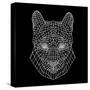 Mountain Lion Black Mesh-Lisa Kroll-Stretched Canvas