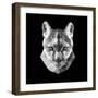 Mountain Lion Head-Lisa Kroll-Framed Premium Giclee Print