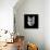 Mountain Lion Head-Lisa Kroll-Framed Stretched Canvas displayed on a wall