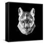 Mountain Lion Head-Lisa Kroll-Framed Stretched Canvas