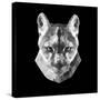 Mountain Lion Head-Lisa Kroll-Stretched Canvas