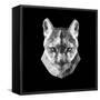 Mountain Lion Head-Lisa Kroll-Framed Stretched Canvas