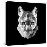 Mountain Lion Head-Lisa Kroll-Stretched Canvas