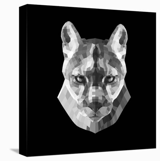 Mountain Lion Head-Lisa Kroll-Stretched Canvas