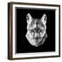 Mountain Lion Head-Lisa Kroll-Framed Art Print