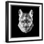 Mountain Lion Head-Lisa Kroll-Framed Art Print
